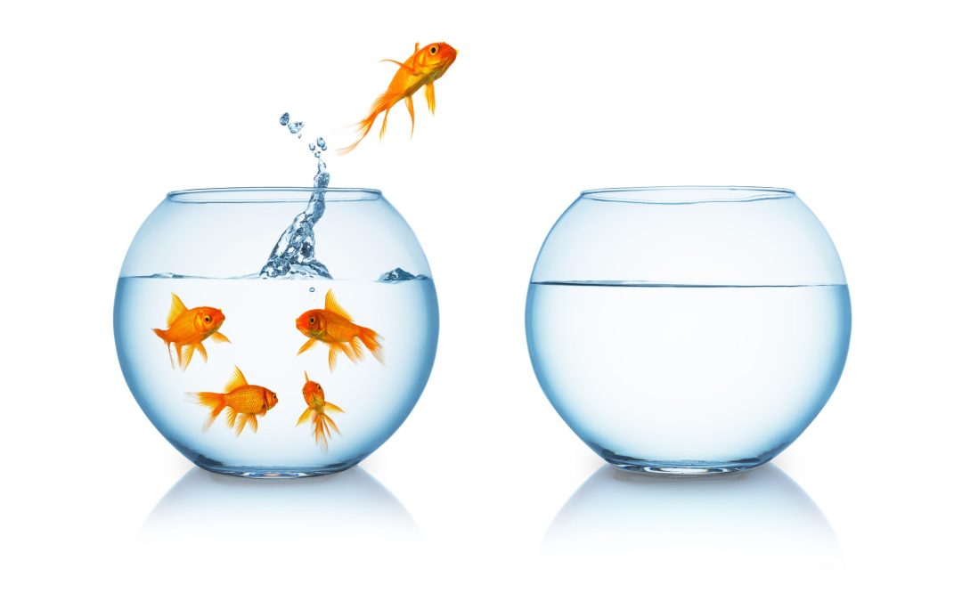 Roth IRA Conversions & Tax Benefits